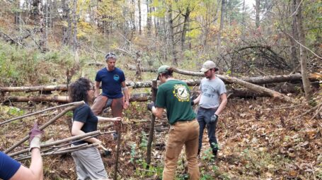 People work installing beaver dam analogs in a small streambed.