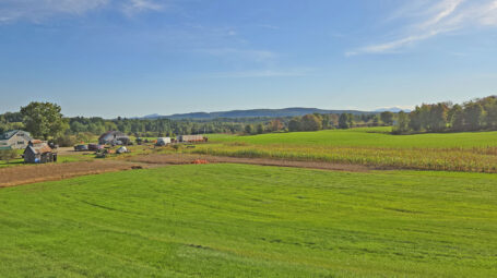 sunny farmstead with corn fields to the right, pasture in front and pumpkin patch. Brosseau Farm, Highgate Vermont