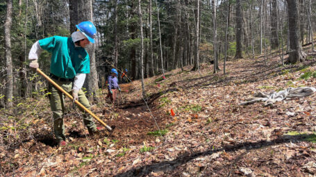 Person raking ground to clear path for accessible trail in leaf-covered forest clearing.