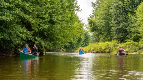 Three canoes paddle along a shallow, calm river with trees and shrubs liming both sides.