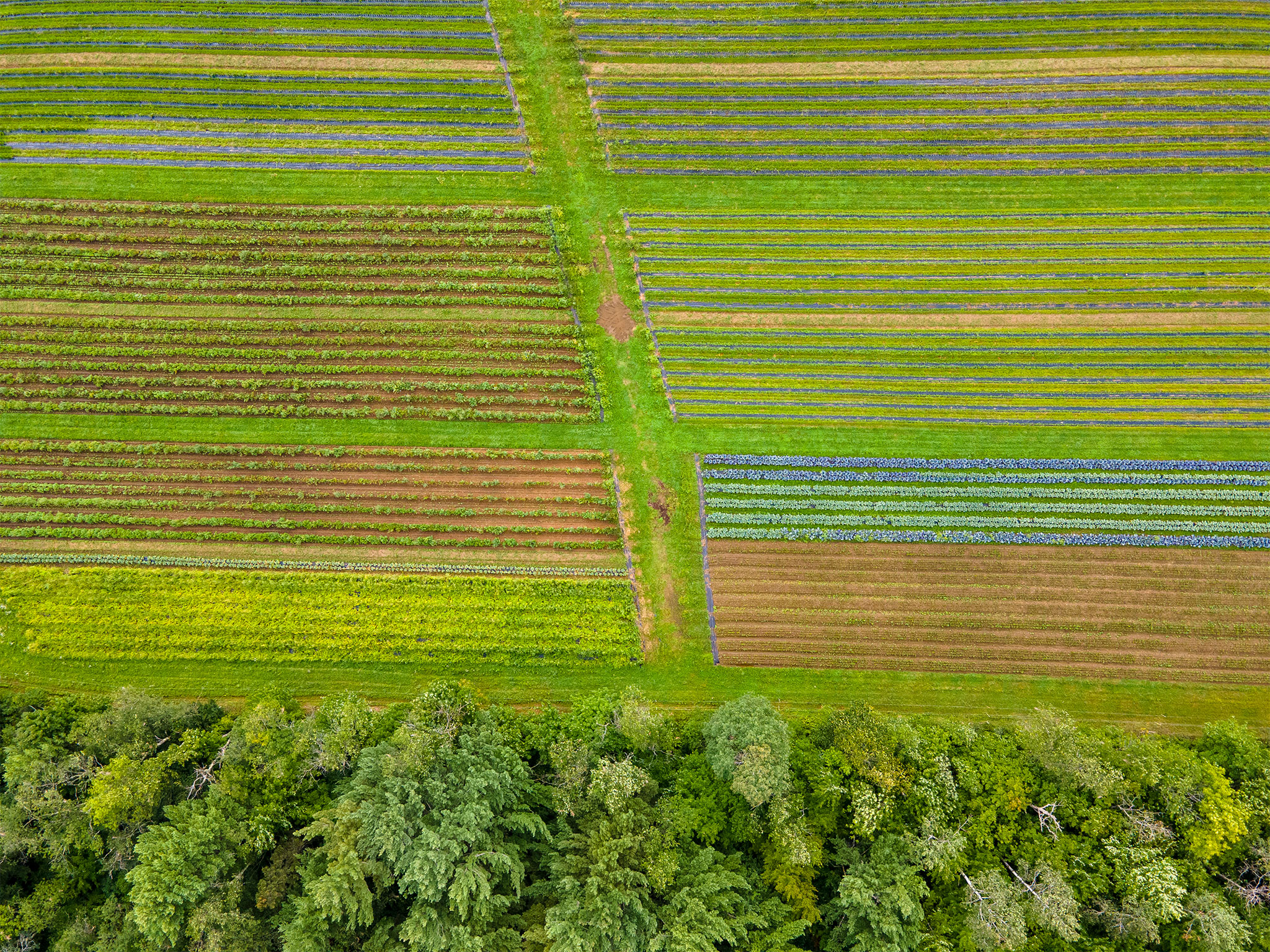aerial photo of farm fields with produce. Vermont 