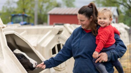 A woman holds a smiling todler while reaching a hand out to a calf.