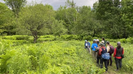 A group of birders stands along a trail in a field by the edge of a forest.