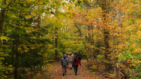 A group of people travel along a smooth trail in amongst fall foliage.