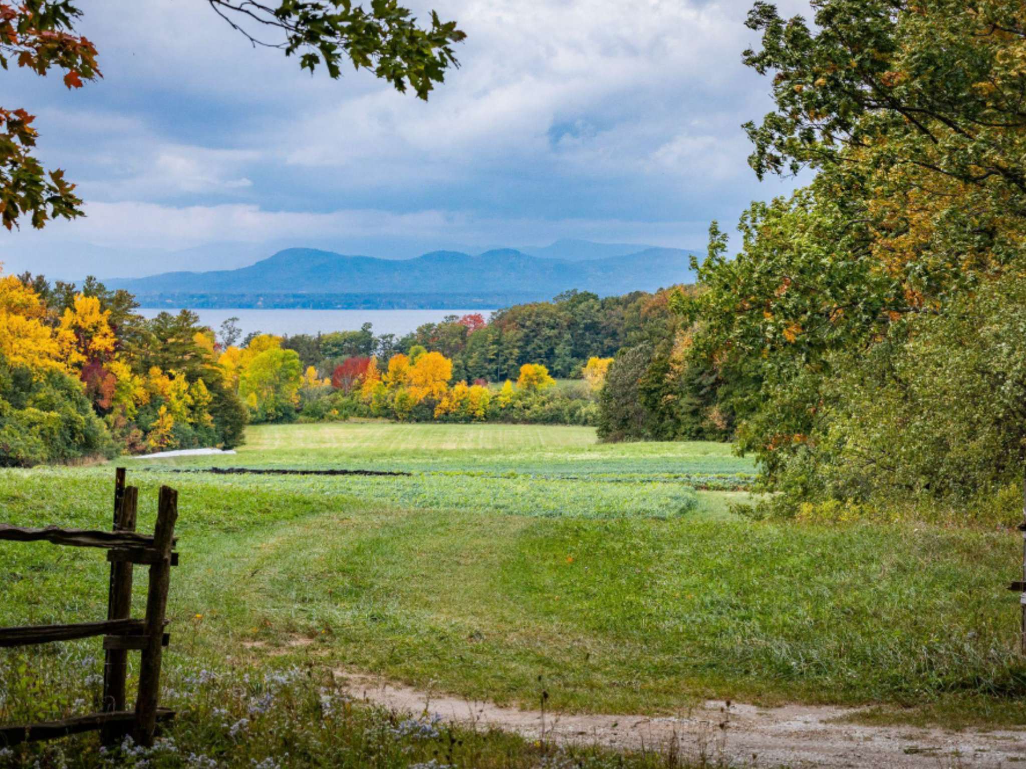 A fence and path leading into a pasture, with fall foliage in the distance