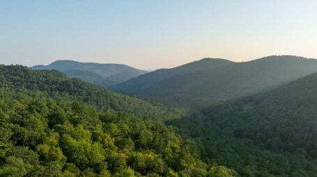 A lush green mountain scape