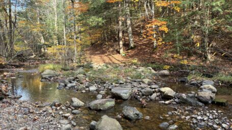 A rocky stream is in the foreground with a path leading through fall leaves on trees behind.