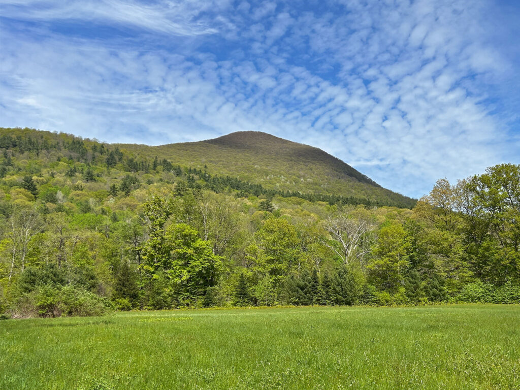 View of pasture with hills and a tall mountain in the distance. Rd Mountain, Vermont