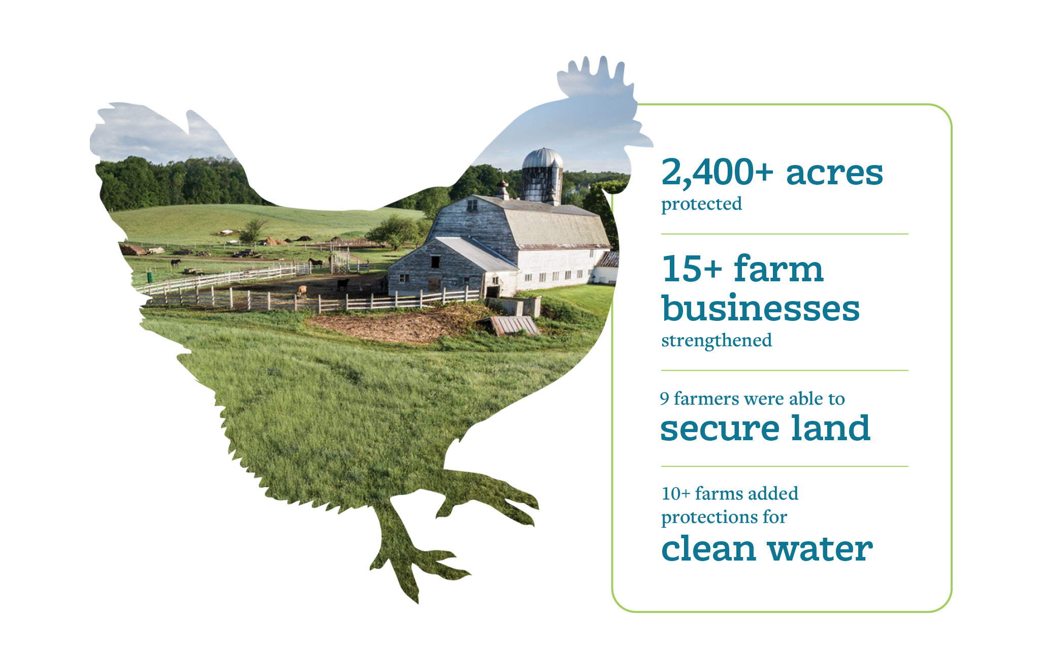 A picture of a farm silhouetted in the outline of a chicken, a box on the left reads: 2,400+ acres protected; 15+ farm businesses strengthened; 9 farmers were able to secure land; 10+ farms added protections for clean water