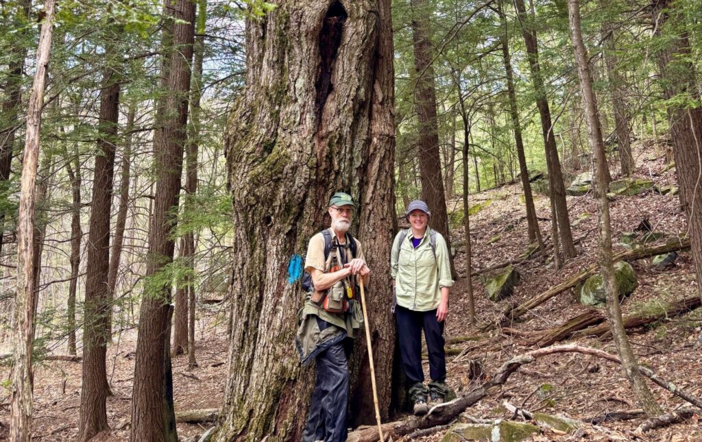 A man and a woman stand in the woods in front of a large oak tree.