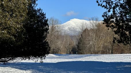 The ridge of Mount Mansfield is visible beyond a snowy field between conifer trees.