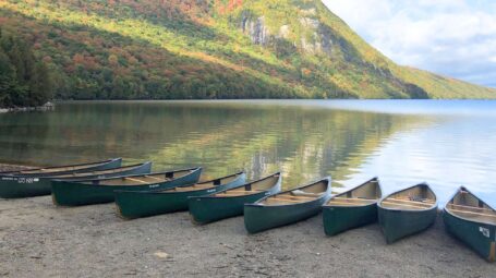 Canoes lined up on the shore of a lake