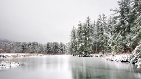A frozen pond is surrounded by snow-covered conifer trees.