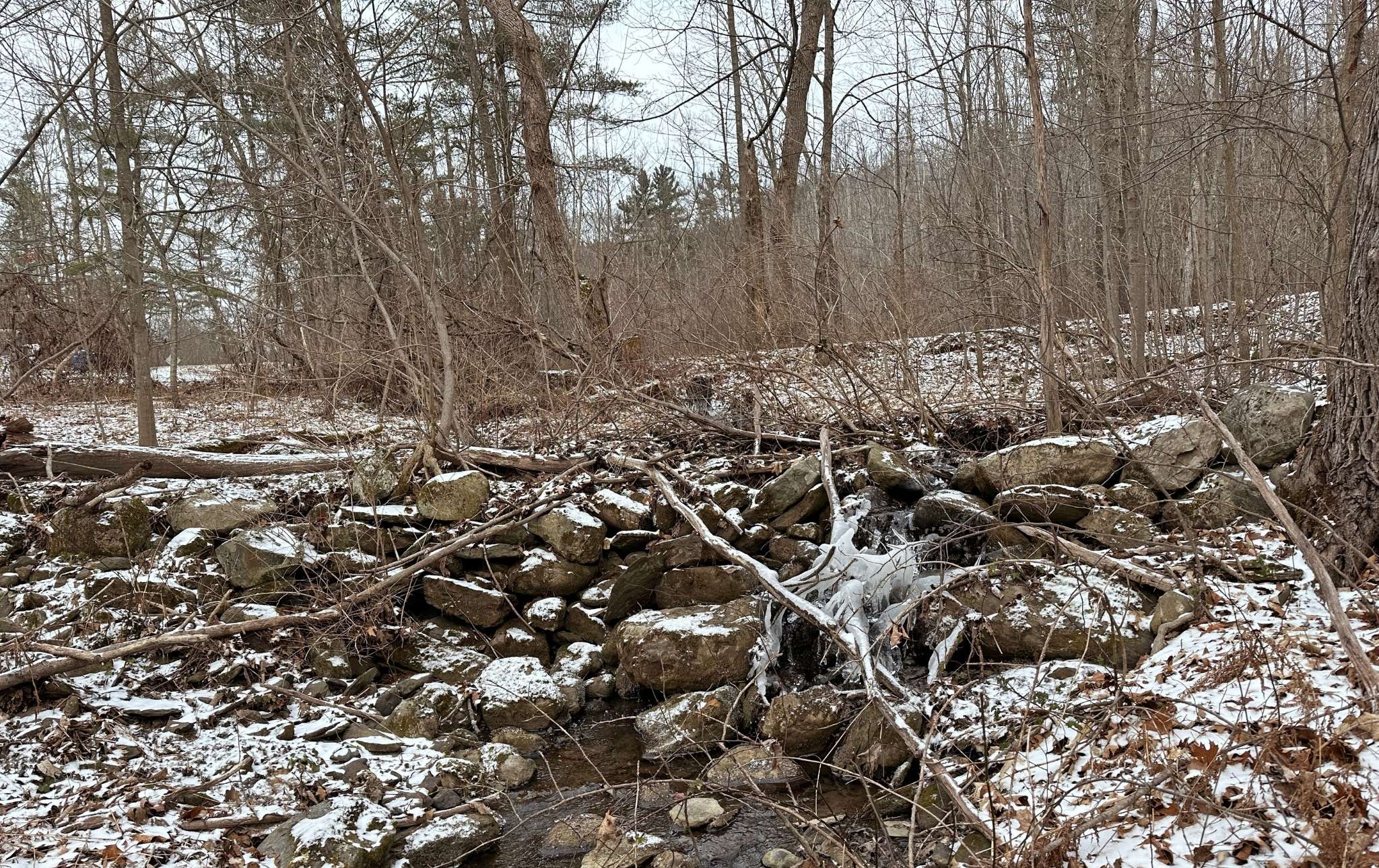 A winter view of the old stone dam blocking the stream.