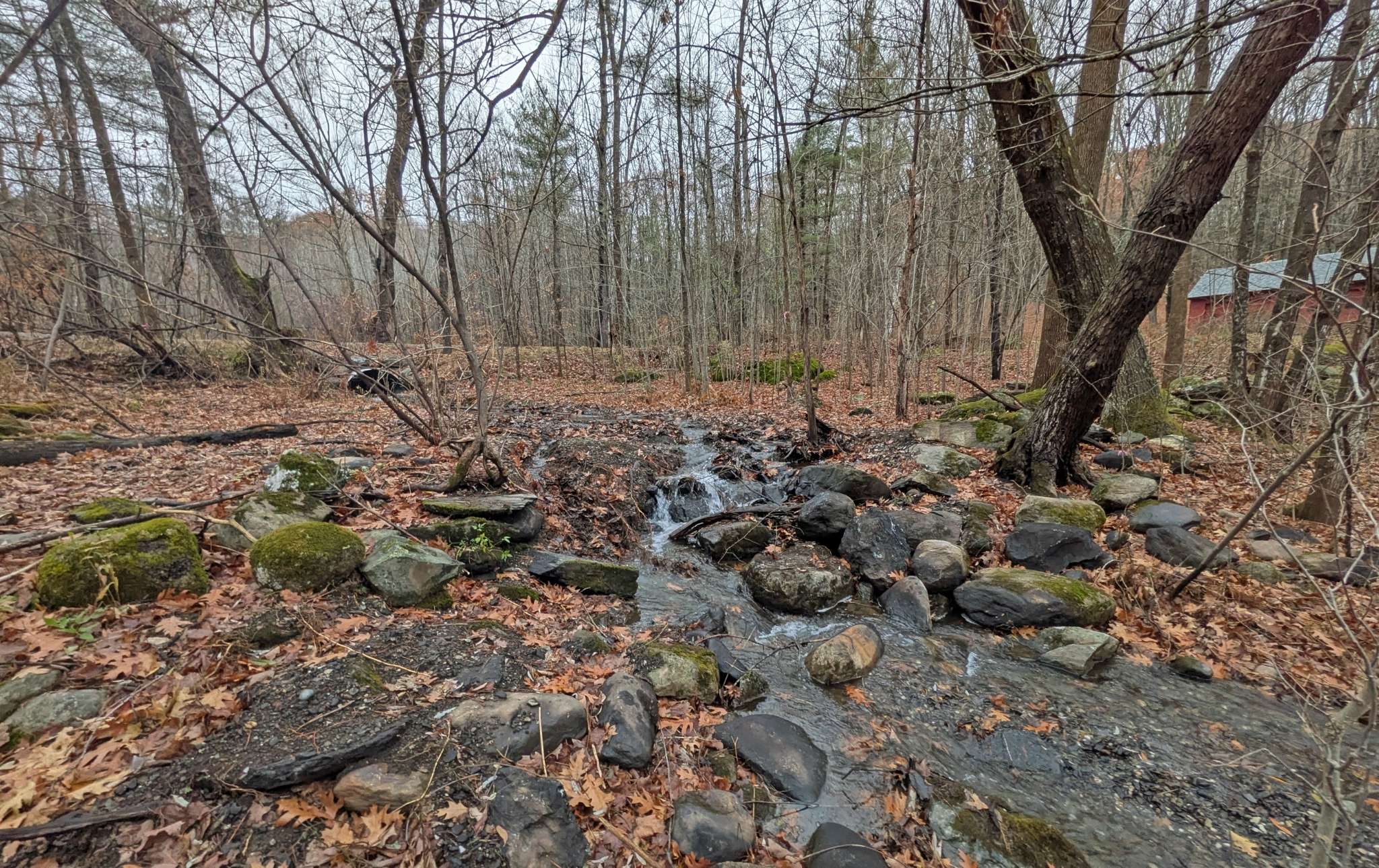 A woody stream running over stones and boulders. Behind some trees, a partially obstructed view of the new culvert.