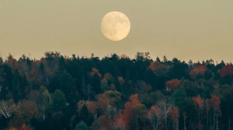 A full moon rises over a forested ridge