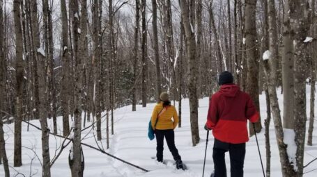 Two people snowshoe through a winter forest.