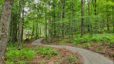 A smooth, packed gravel path winds through a green forest towards a cabin in the far background.