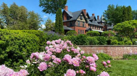 A tall brick building rises in the background with light pink flowers blooming in the foreground.