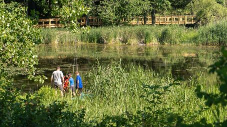 A group of people near stand in greenery near water with a boardwalk spanning the background.