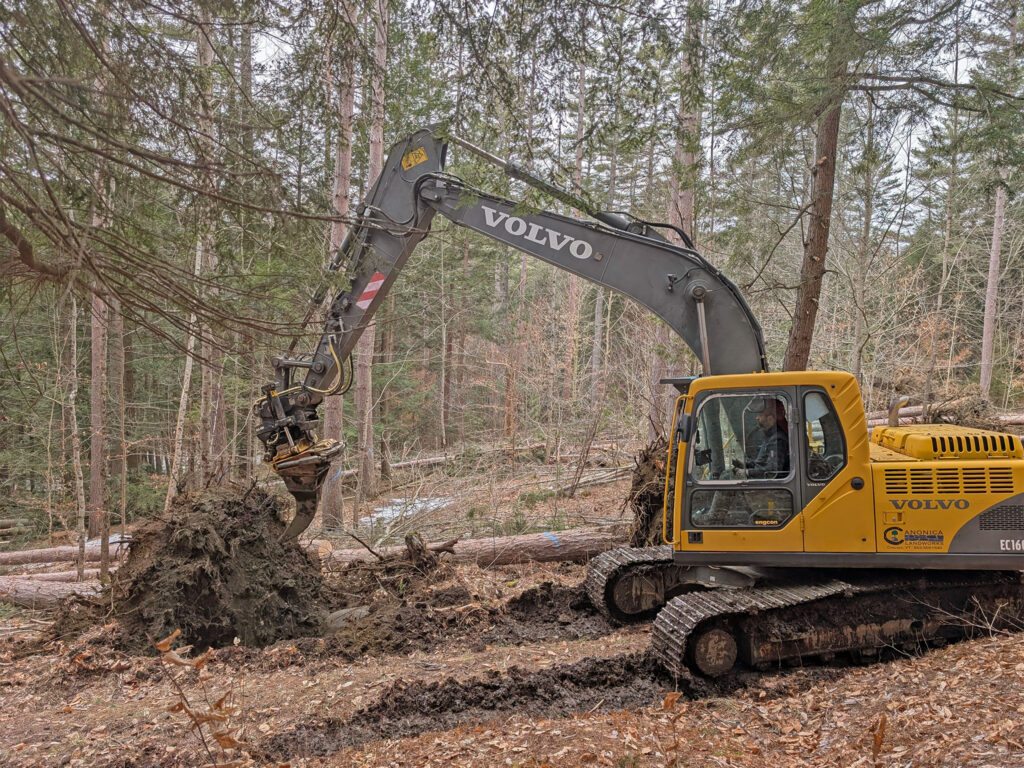 An excavator with a front claw attachment being operated to pull up root clusters of large trees for use in a river restoration project. Vermont 