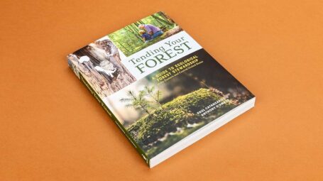 A image of the book "Tending Your Forest: A Guide to Ecological Forest Stewardship" on an orange background