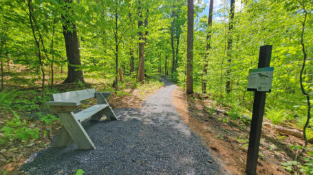 View of new accessible trail through woodland, wooden bench on one side and interpretive sign on the other. Pratt Refuge Vermont