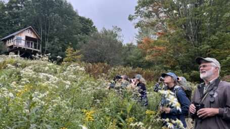 Birders stand along a field in a meadow amongst tall grass.