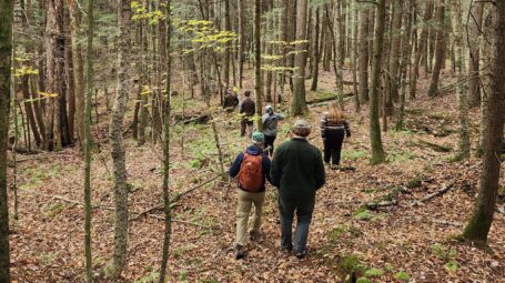 People walking through a fall forest