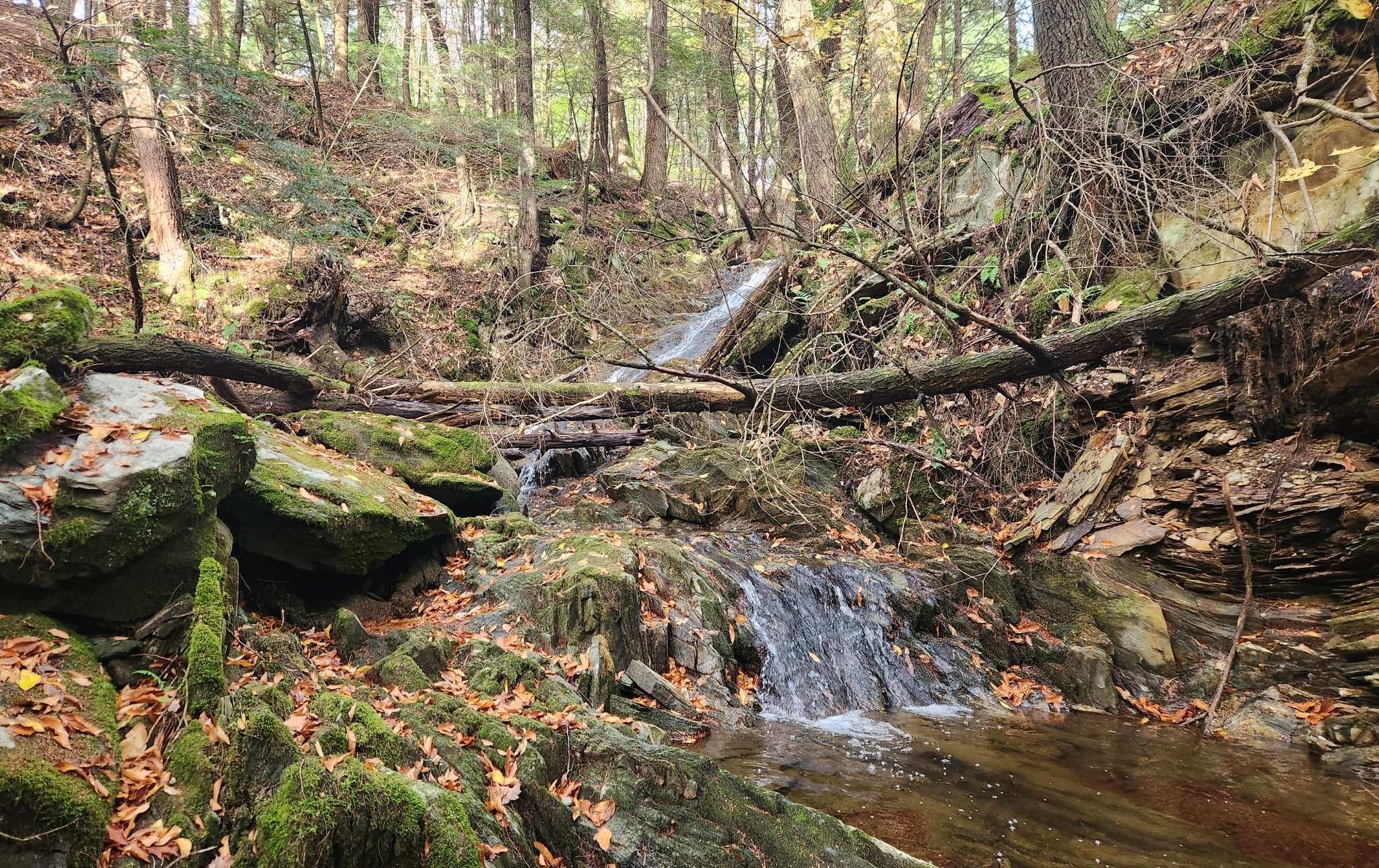 A small waterfall in the middle of the forest.