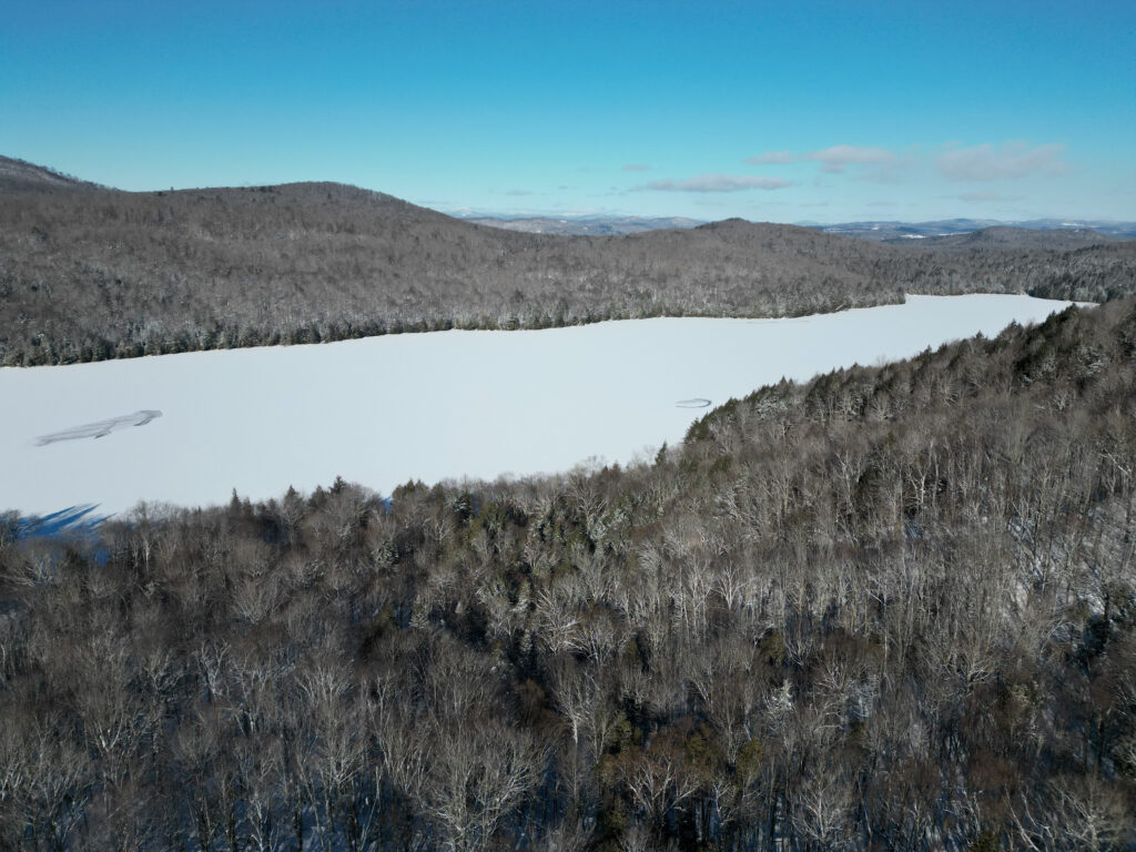 Frozen lake surrounded by snowy wooded mountains