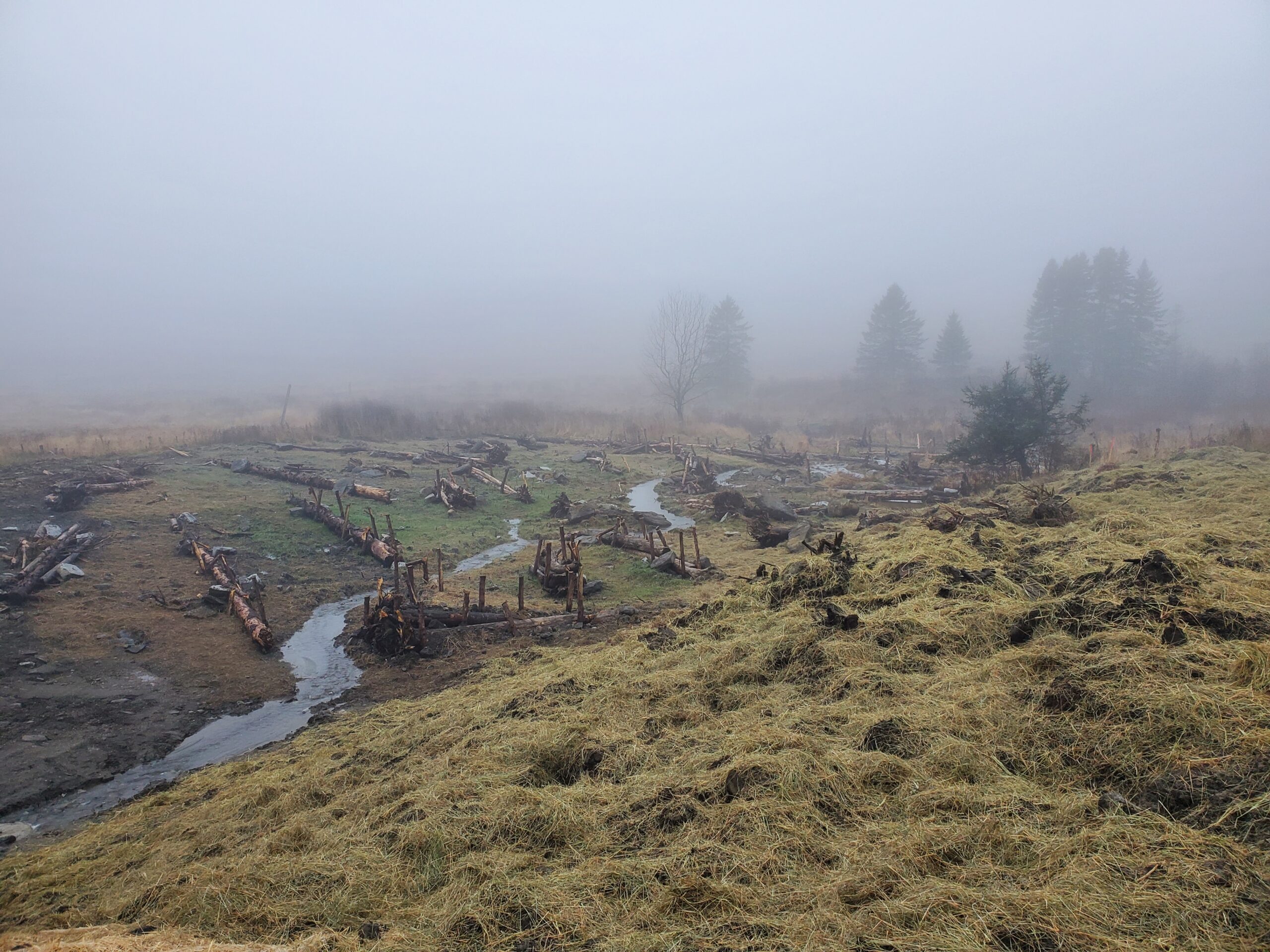A misty stream running through fields