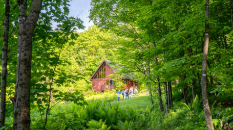 A red cabin is visible through an opening in a forest.