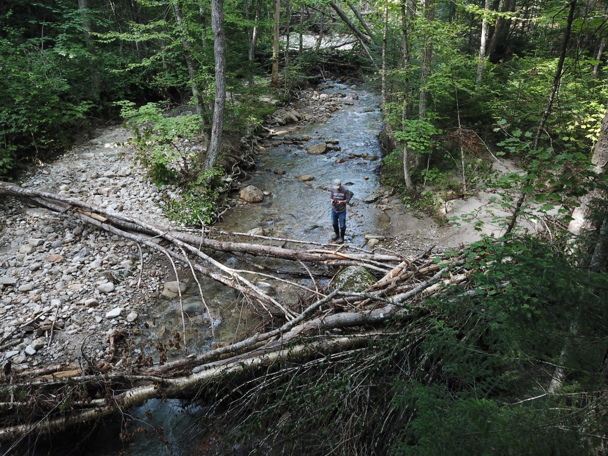A person stands in a river in the middle of a forest with branches and tree trunks running through it