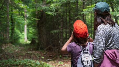 An adult and a child look down a trail in the forest.