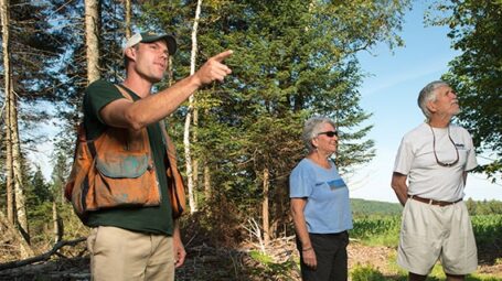 A forester gestures as he speaks with two other people in a forest.