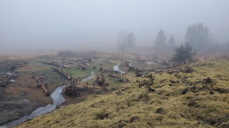 Structures are set up to mimic natural features along a stream.