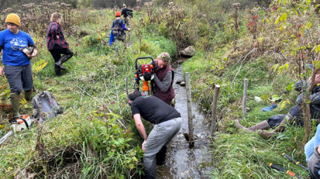 crew adding wood to stream