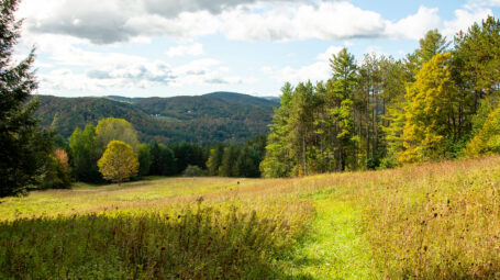 path through meadow with golden grasses in late summer, with hills and sky in distance. Woodstock Vermont