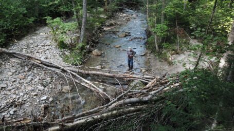 A person stands upstream of a group of logs and wood in a river.