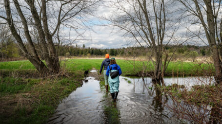 two people walk away from camera into a wet field in autumn
