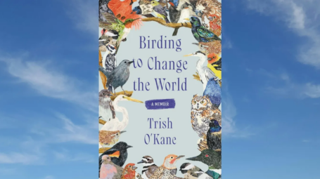 The book cover for "Birding to Change the World" has birds surrounding the main text and is set on a blue sky background